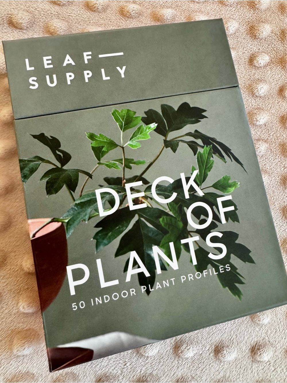 Deck of Plants — Green Indoor Plant Profile Deck
